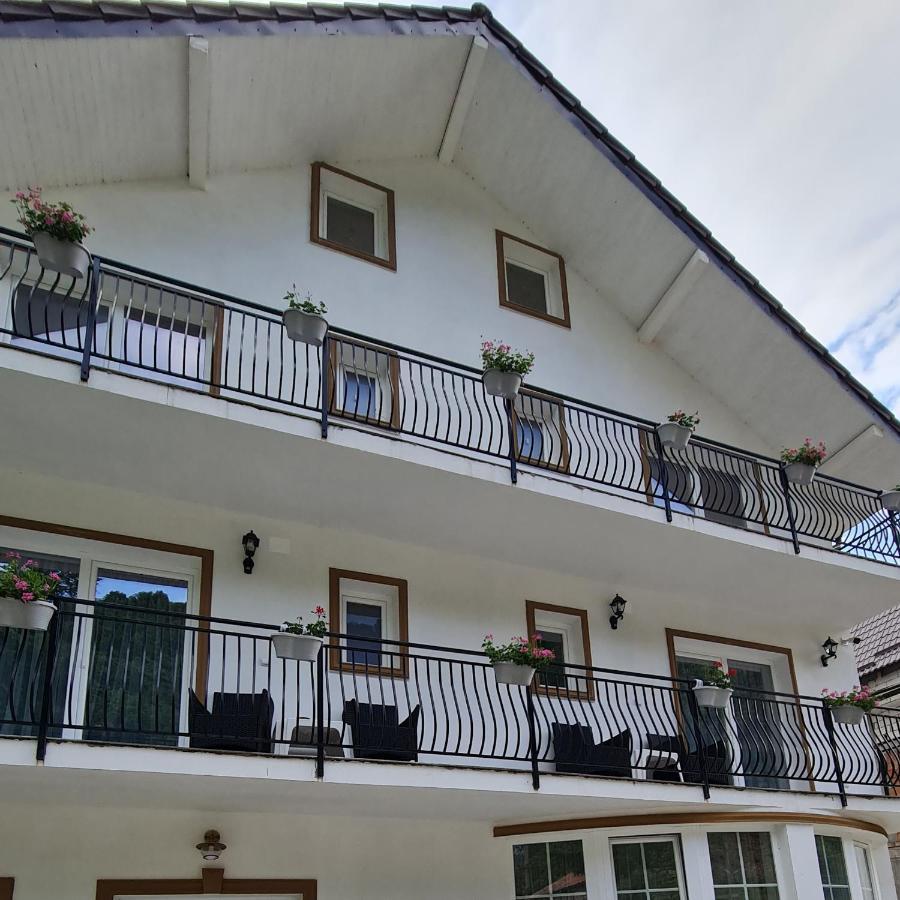 Casa Anne Hotel Băile Herculane Exterior photo